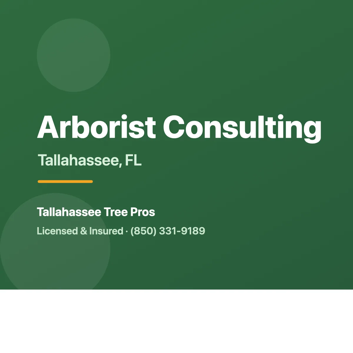 Arborist consulting with a homeowner about trees in Tallahassee FL