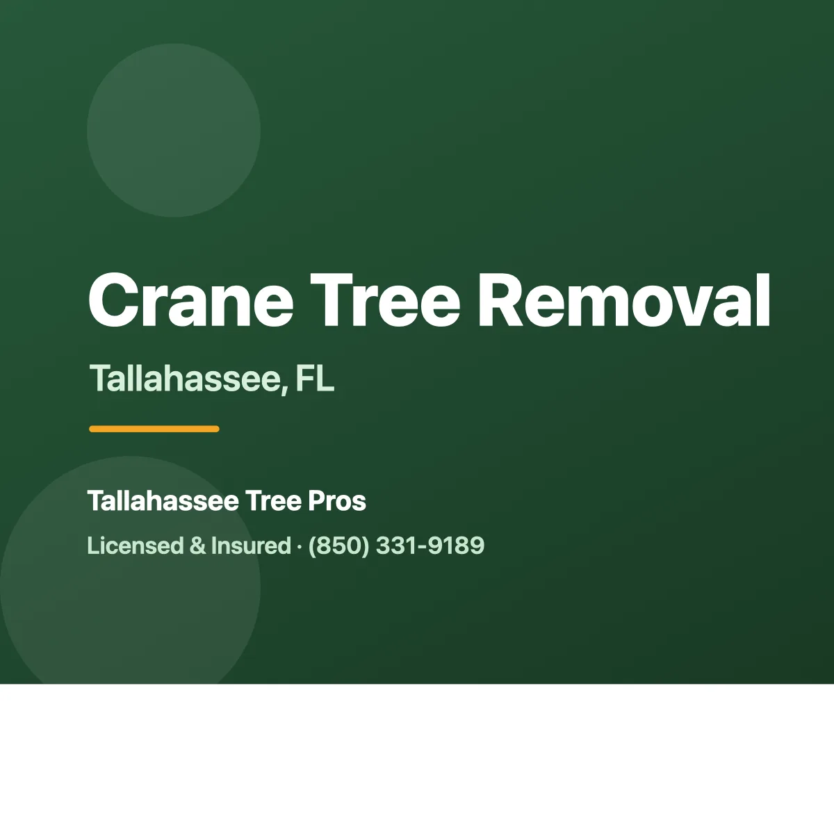 Crane lifting a large tree section over a home in Tallahassee FL
