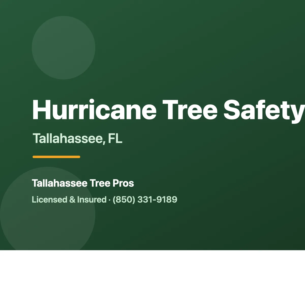 Hurricane Season Tree Safety Tips for Tallahassee
