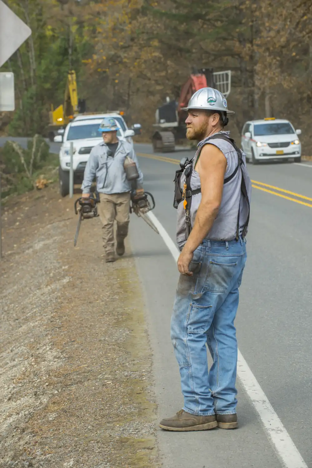 Licensed tree service crew in Tallahassee FL