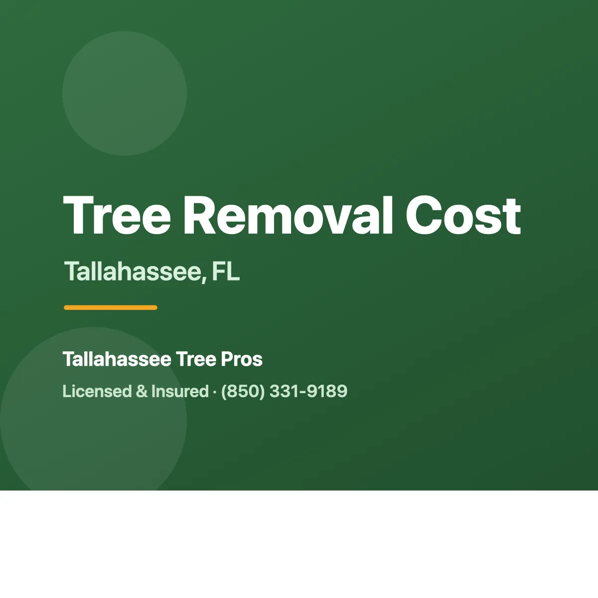 How Much Does Tree Removal Cost in Tallahassee, FL?