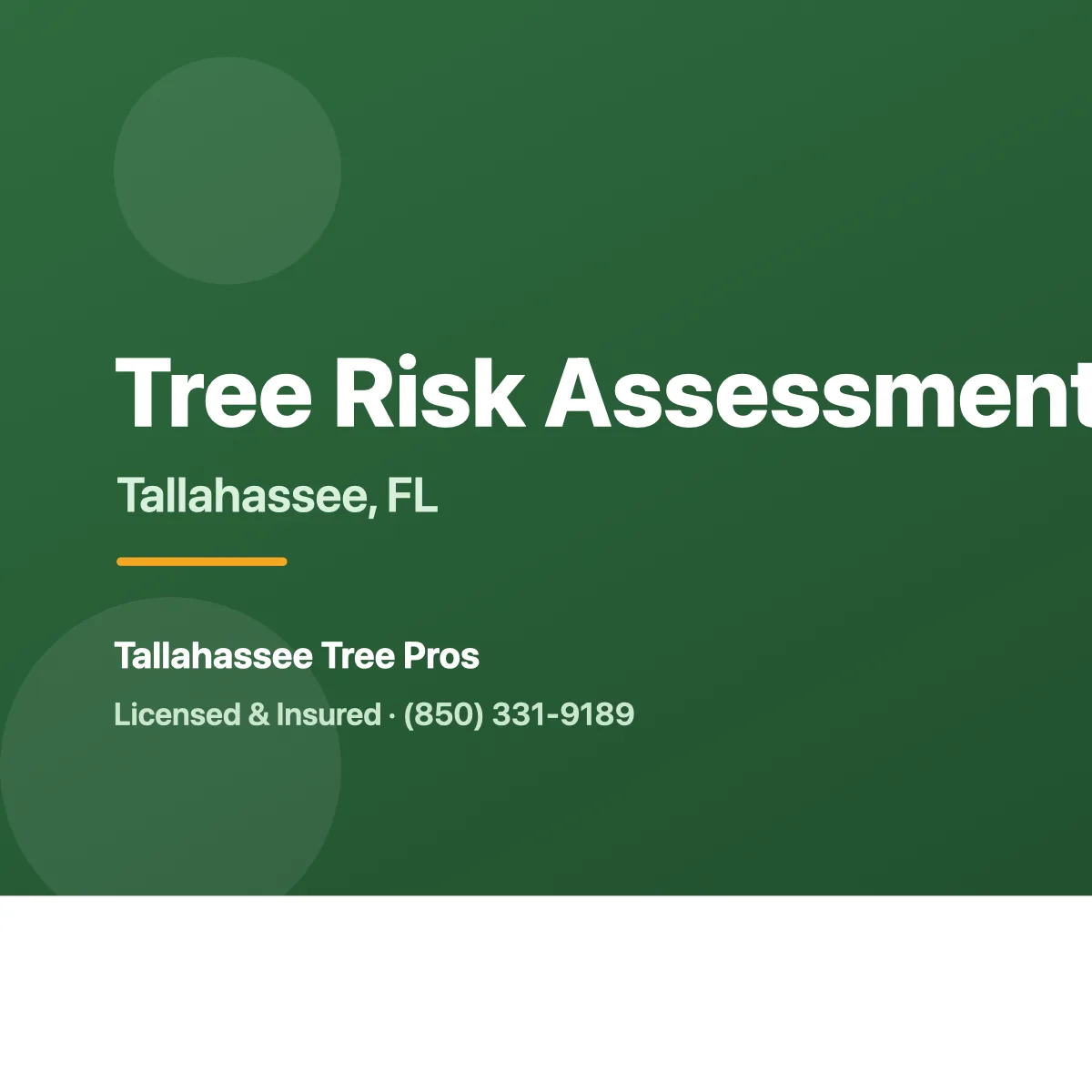 Arborist assessing a hazardous tree in Tallahassee FL